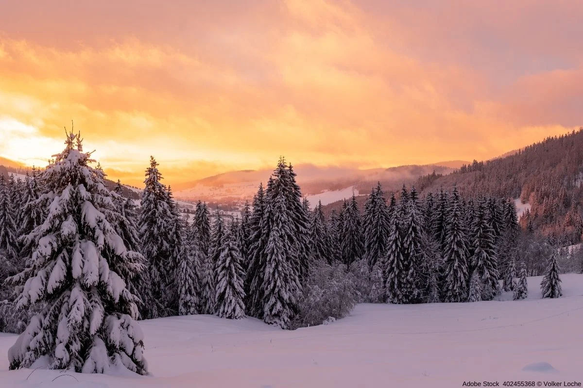 Baden-Württemberg Sehenswürdigkeiten Winter